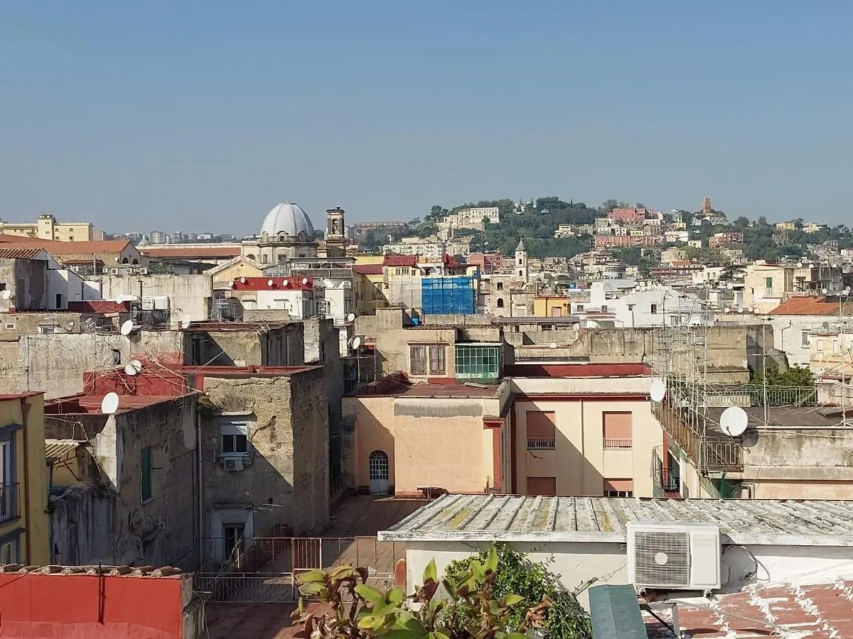 View Of Naples From Terrace- 6 Apartment 0*,